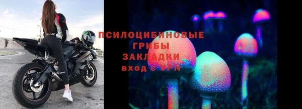 МДПВ Абаза