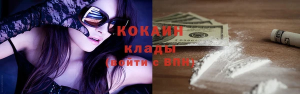 гашик Алзамай