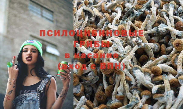 дмт Абдулино