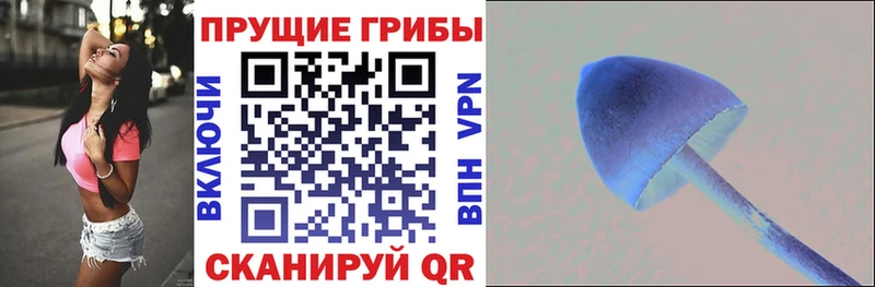 Галлюциногенные грибы мицелий  Курск 
